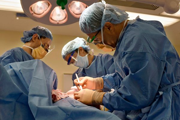 Gender-Affirming Surgeries in the US Nearly Tripled Before Pandemic Dip, Study Finds