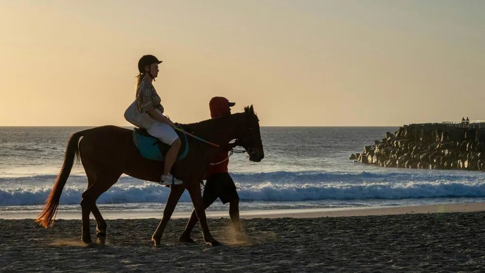 Galloping Into Paradise: A Guide to Provincetown and Beyond