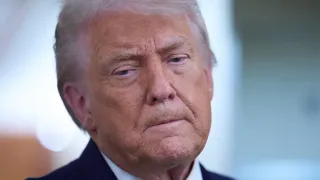 Trump Facing Growing Cultural Revolt Against Immigration Crackdown